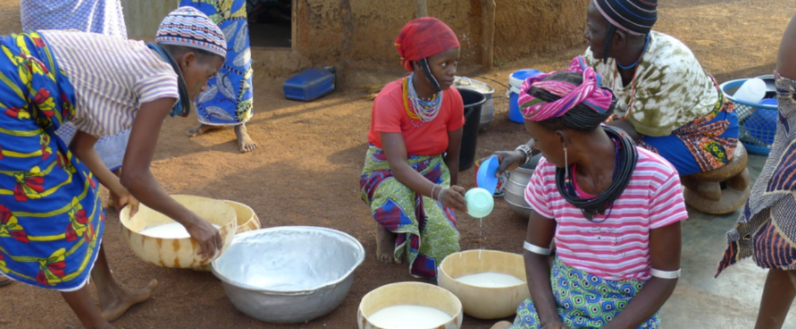 Le lait, vecteur de développement : une 5e édition au Sénégal