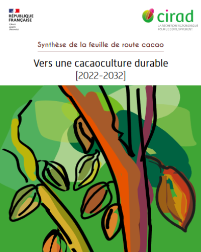 Vers une cacao culture durable