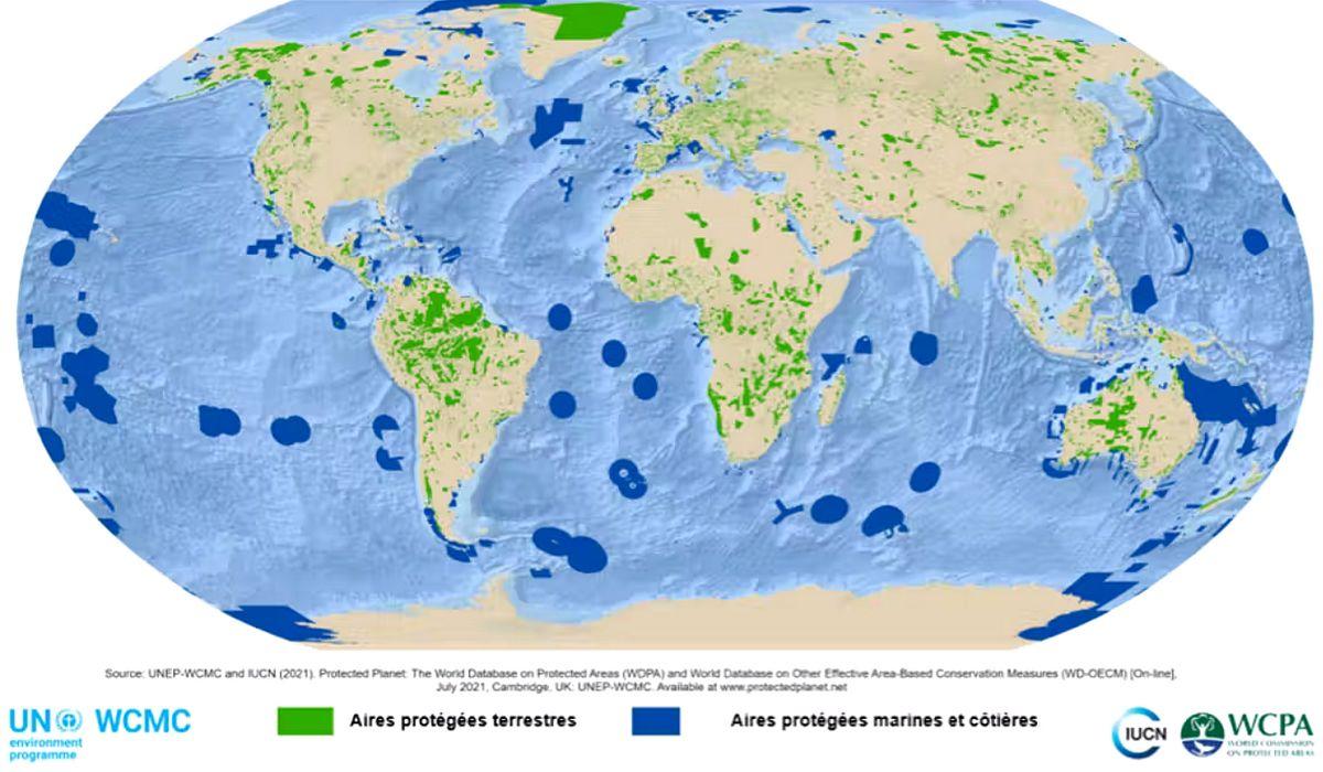 Carte présentant la répartition des aires protégées au niveau mondial. Actuellement, plus de 22,5 millions de km² sur terre et 28 millions de km² en milieux marins et côtiers sont aujourd’hui protégés. protectedplanet.org, CC BY-NC-ND