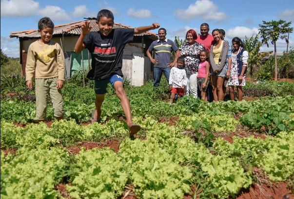 Brésil : L’effet du démantèlement des politiques de sécurité alimentaire amplifié par le Covid19