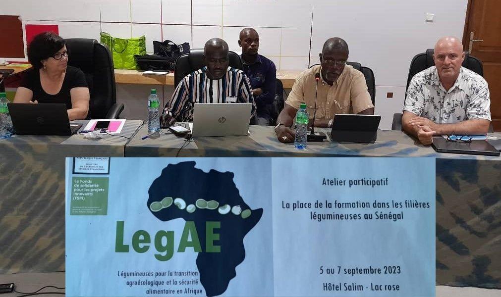 Les acteurs des filières niébé et arachide partagent des solutions et ...