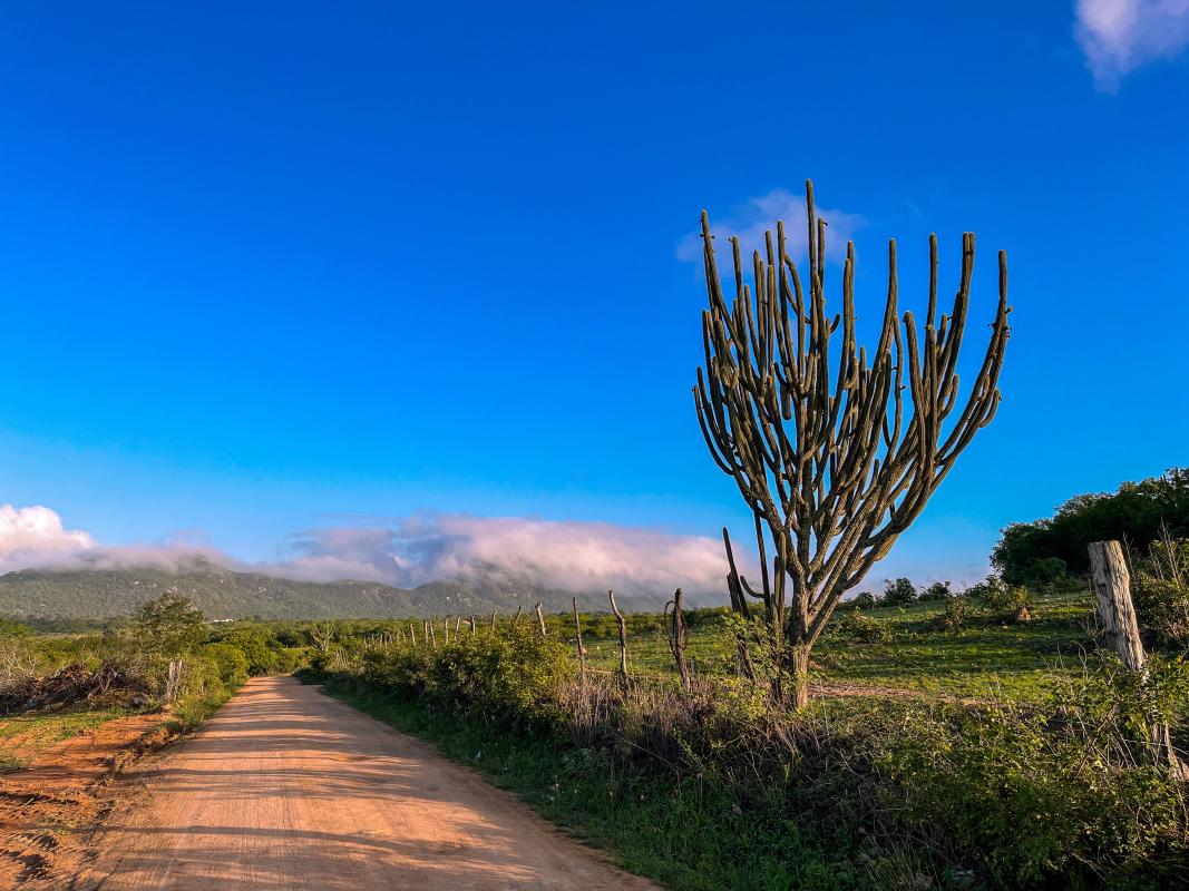 São José de Tapeira, Al © Jonathan Santos