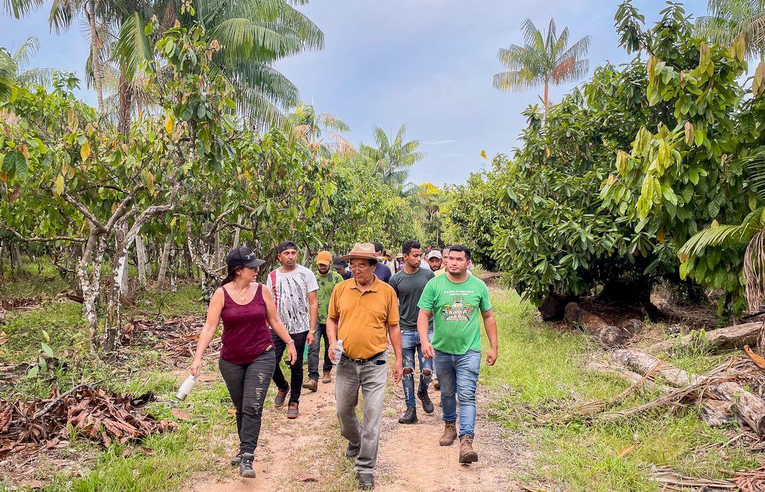 Lívia Navegantes (Université Fédérale du Pará) visite un système agroforestier qui associe plusieurs espèces, dont du cacao et de l’açai, le fruit d’un palmier © Refloramaz
