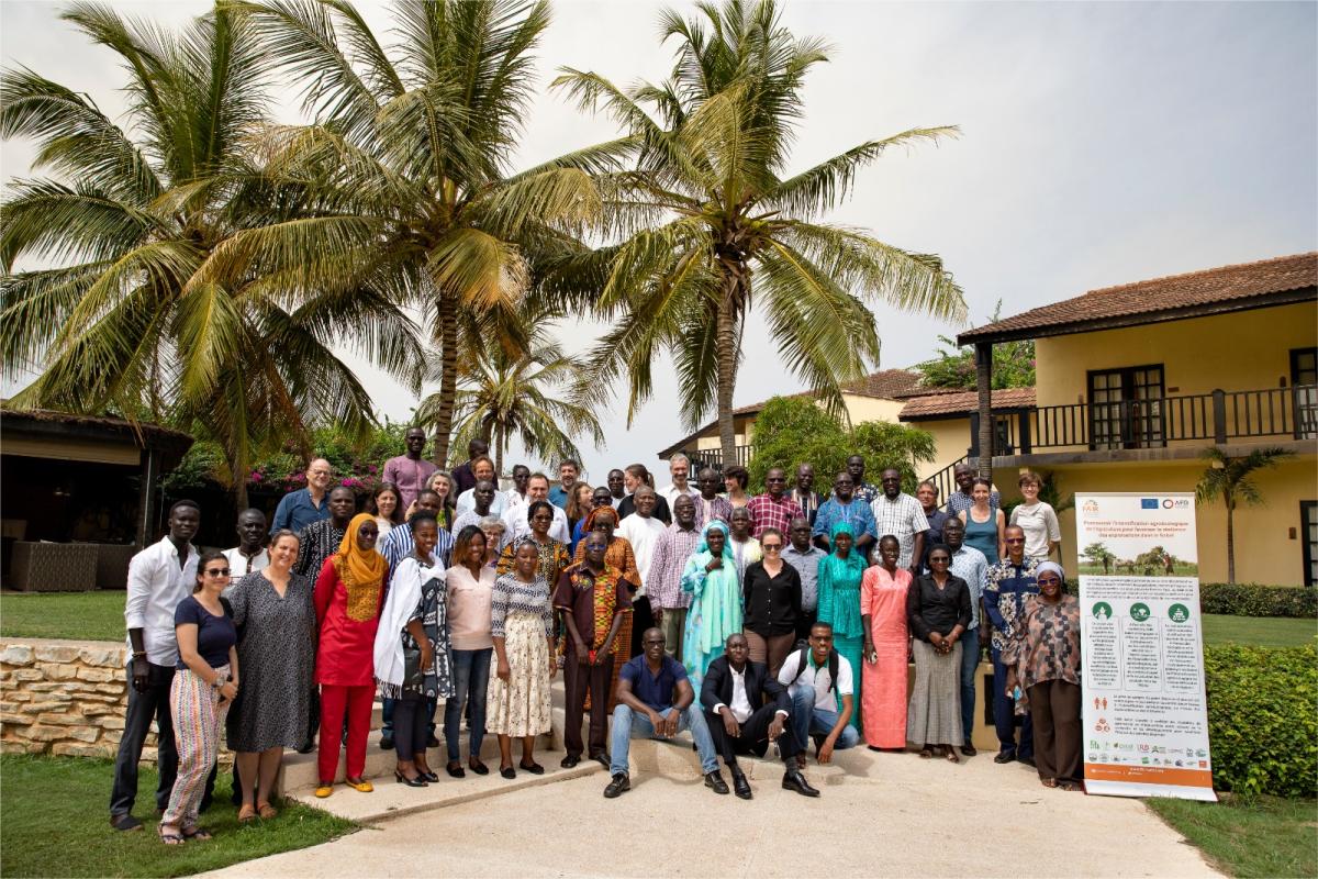 Réunion annuelle FAIR SAHEL©isra-Cirad