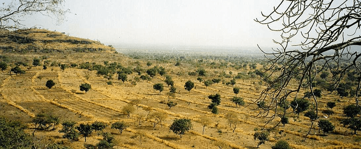 Managed agricultural land south of Garoua © CIRAD