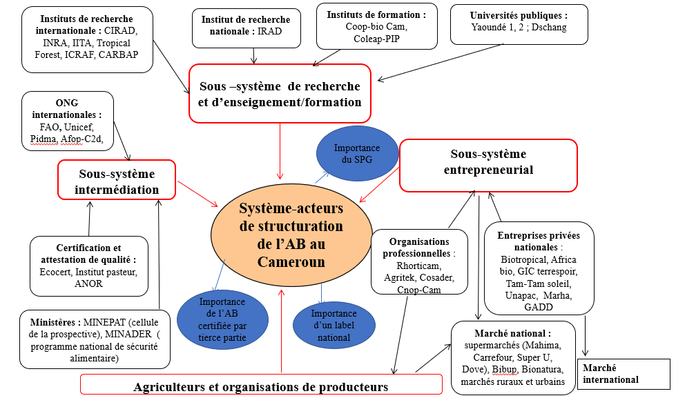 Système acteurs_AB_Cameroun