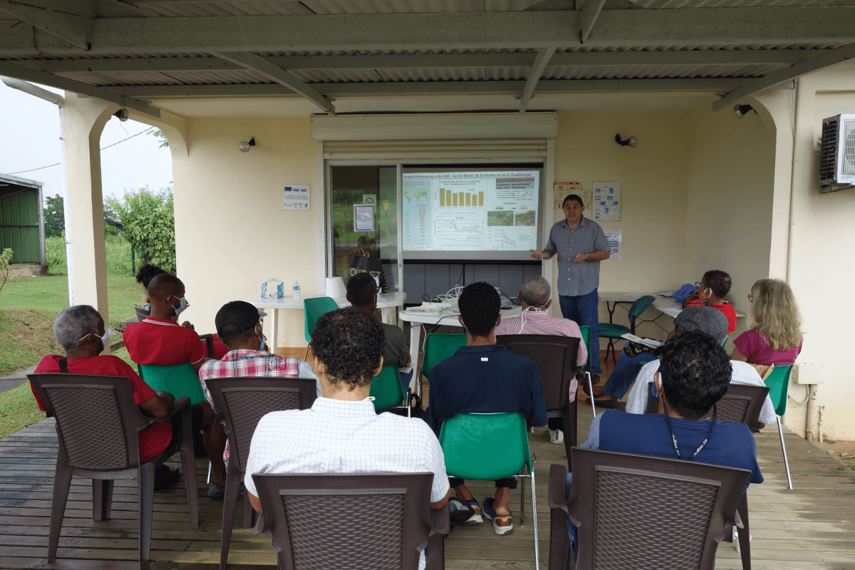 Course on the HLB disease given by Dr. Raphaël Morillon at the CIRAD research station of Roujol, Petit-Bourg, Guadeloupe