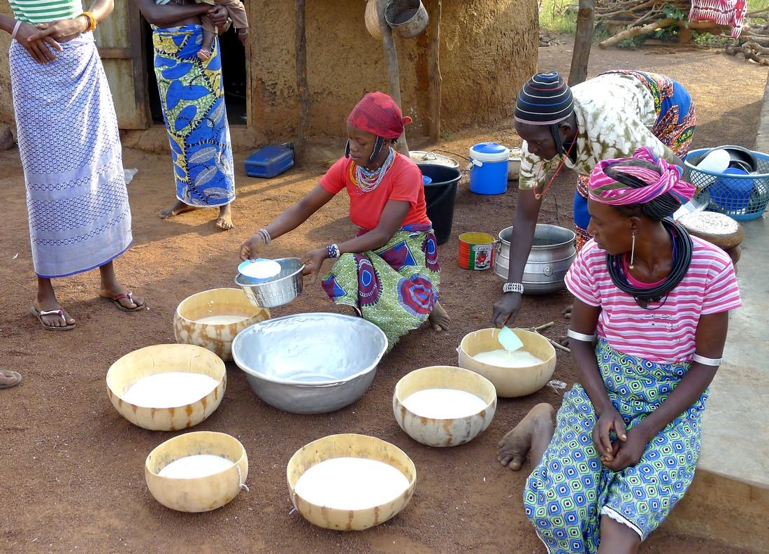 Des livreuses de lait dans un campement Peul au nord du Bénin © G. Duteurtre, Cirad
