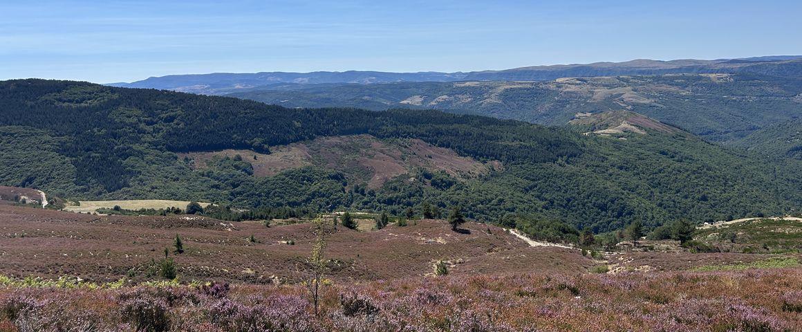 Illustration de la diversité des habitats observables en France et en Europe (ici dans le Parc national des Cévennes) sur laquelle les capacités de Pl@ntBERT ont été évaluées. © P. Bonnet, Cirad