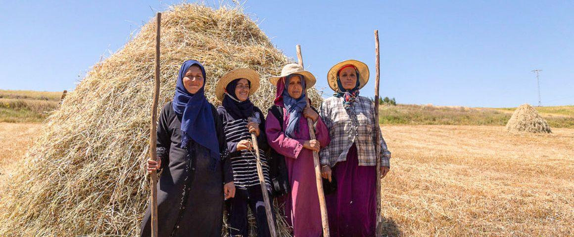Des agricultrices dans la région de Bizerte, une zone rurale vulnérable de Tunisie © Pacte