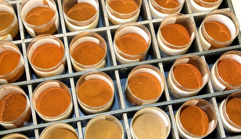 Soil samples © CIRAD, T. Erwin