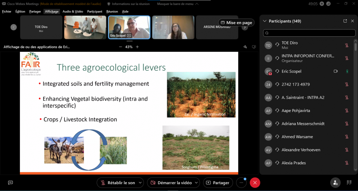 Capture d'écran sur les participants à distance de l'atelier Fair Sahel