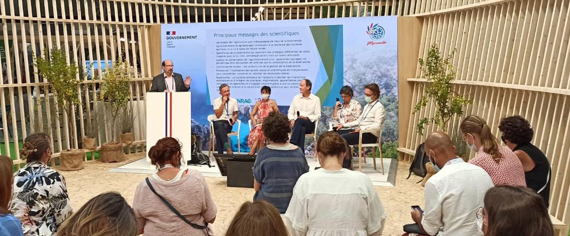The IUCN Congress in Marseille allowed scientists to share their messages with politicians and representatives of IUCN members © D. Bazile, CIRAD
