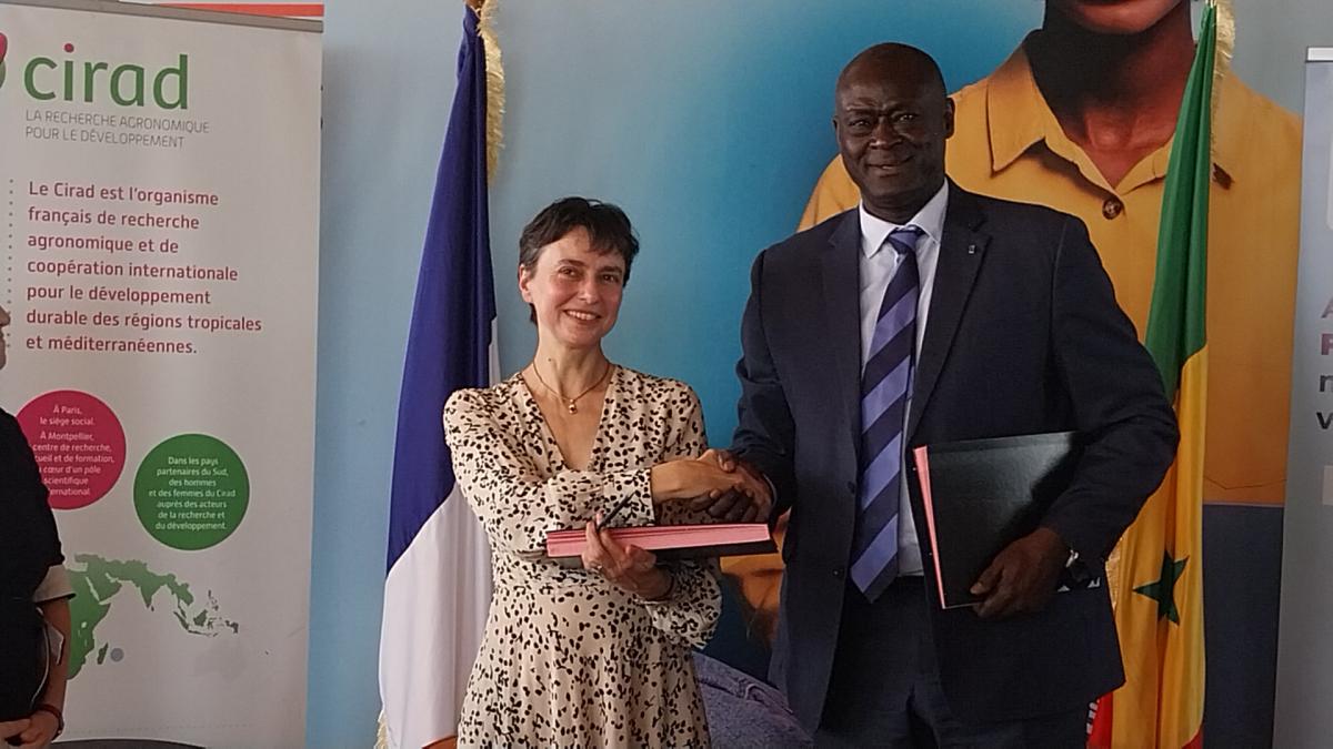 Echange de poignée de main entre Elisabeth Claverie de Saint Martin (PDG du Cirad) et Serigne Magueye Gueye (DG du Campus franco sénégalais) lors de la signature de l'accord-cadre liant les deux Institutions