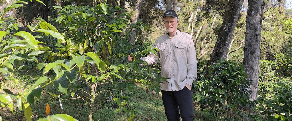 Tanguy Lafarge durante una visita de campo a sistemas agroforestales de café en Xalapa, México. © T. Lafarge, Cirad