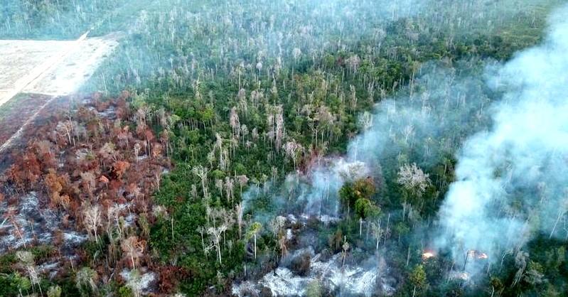Une forêt dégradée en Amazonie vue de drone © C. Bourgoin, Cirad