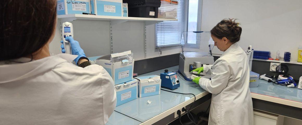 Activités de diagnostics du laboratoire national de référence du Cirad. © C. Puech, Cirad