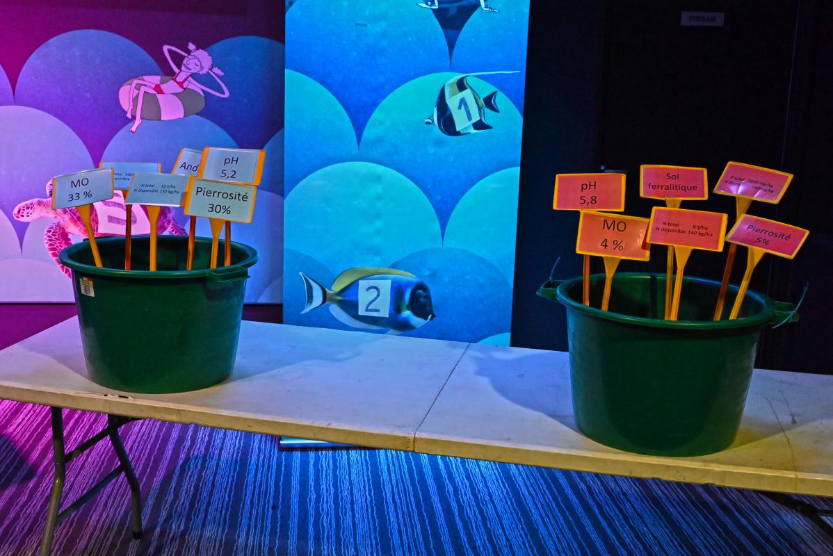 Illustration pédagogique des multiples caractéristiques qui déterminent la fertilité d’un sol