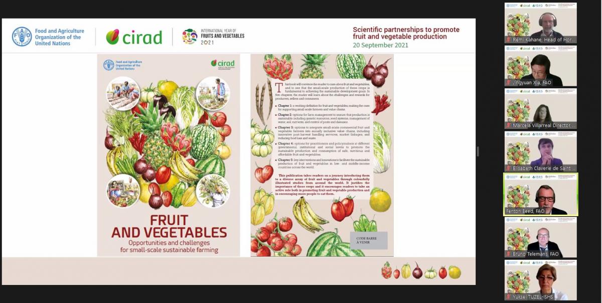 Lancement de l'ouvrage FAO-Cirad Fruits et légumes– Opportunités et défis pour la durabilité des petites exploitations agricoles à l'occasion de l'année internationale des fruits et légumes. © Cirad-FAO