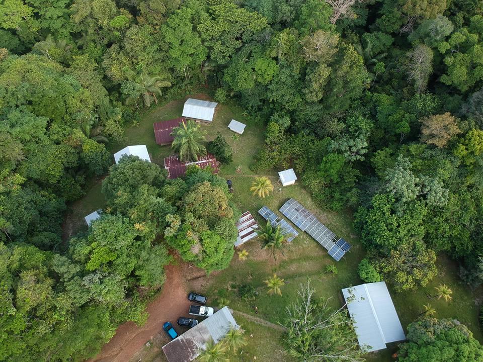 Vue aérienne de la station du Cirad à Paracou, en Guyane française. © A. Dourdain, Cirad