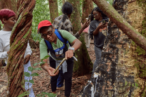 Une participante photographie un tronc d’arbre pour enrichir l’application. © One Forest Vision
