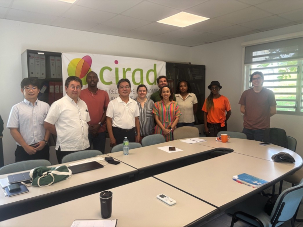 S&eacute;minaire scientifique au Cirad Roujol