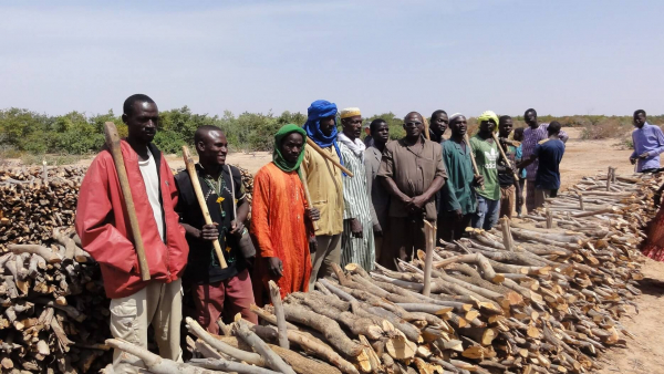 Ensuring that income and profits are shared fairly between the various stakeholders in the wood supply chain - woodcutters (here, in Niger) and charcoal producers, villages, traders/hauliers, urban wholesalers and lastly consumers - is one of the objectives of the FONABES project © P. Montagne, CIRAD