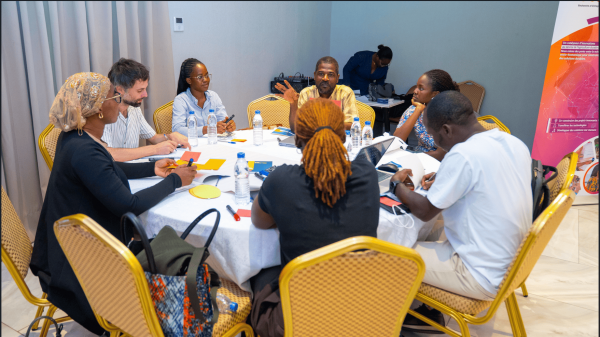 Table ronde par consortium &copy; Connect Initiative
