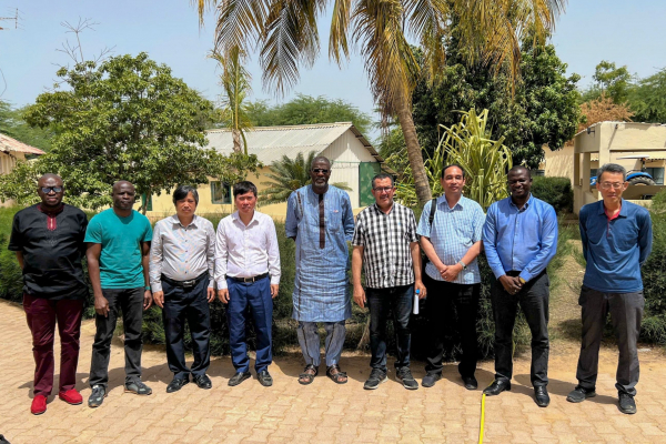 meeting between VAAS IPSAE MAE AfricaRice and KAFACI network