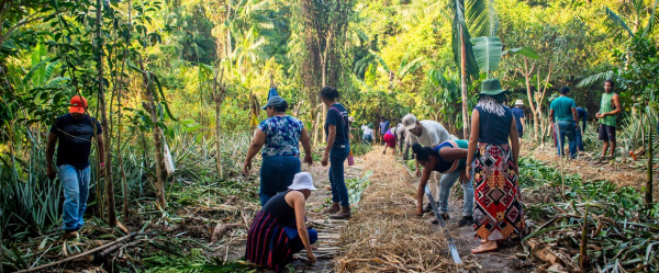 Travail collectif pour la création d’un nouveau système agroforestier © I. Moreira, Refloramaz