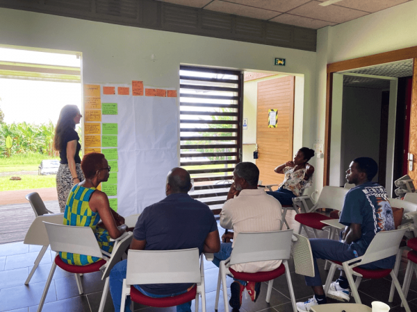 Atelier d’identification des changements liés au développement de l’innovation « introduction d’animaux de service dans les bananeraies.
