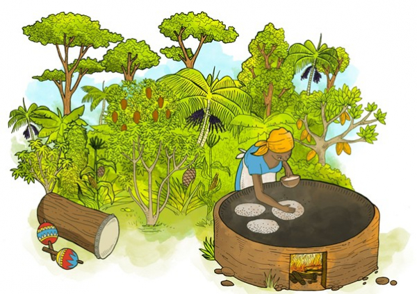 Système agroforestier traditionnel qui associe une grande diversité d’espèces, dont le manioc, le cacao et l’açai © F. Almeida (Instagram @estudiodumundo)