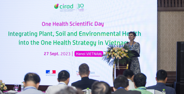 Mme Elisabeth Claverie de Saint Martin, PDG du Cirad, discute des activités et réalisations du Cirad au cours de ses trois décennies au Vietnam. © Viet Hung, Cirad
