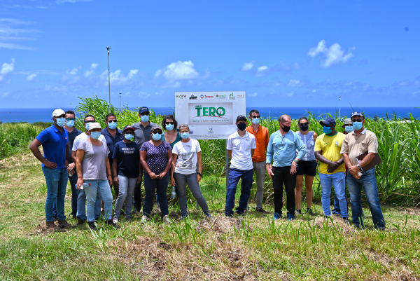 Participants à la session du 2 février 2021