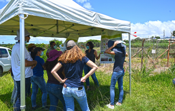 Amélie Février (eRcane) présentant l'essai TERO