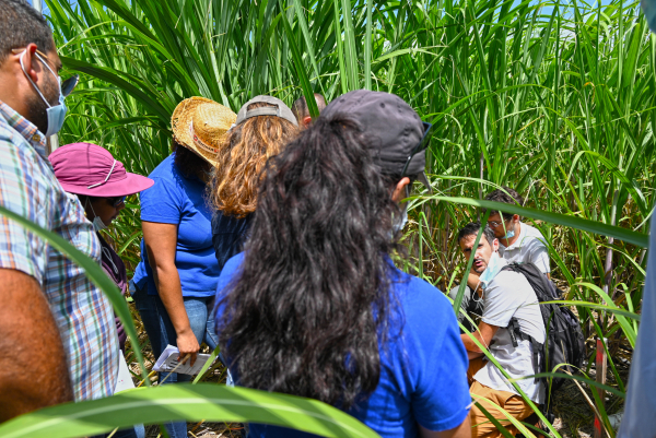 Antoine Versini et Charles DEtaille (Cirad) présentant l'essai SOERE PRO