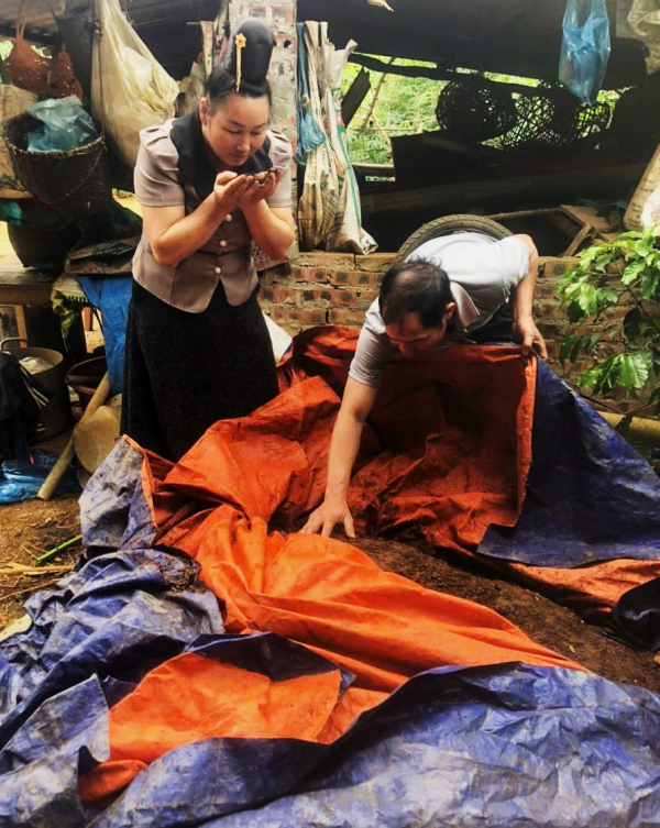 L&ograve; Thị Quyết Vietnam