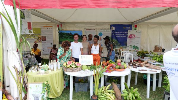 Le stand du Cirad auprès des agriculteurs et à la rencontre des citoyens