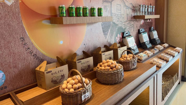 Visite d'un élevage de poules pondeuses : Parc industriel à Conghua, Guangzhou