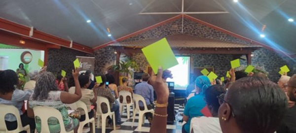 Validation des acteurs du diagnostic réalisé par la CAESM. © Sandrine Freguin-Gresh, Cirad.jpg