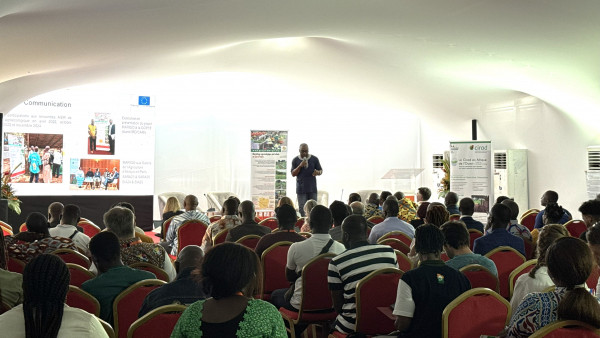 Conf&eacute;rence MARIGO. &copy; M.-G. Hodonou, Cirad