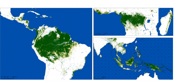 Map of tropical moist forests remaining in January 2020 (by continent) © Science Advances, Vancutsem et al. 2021.