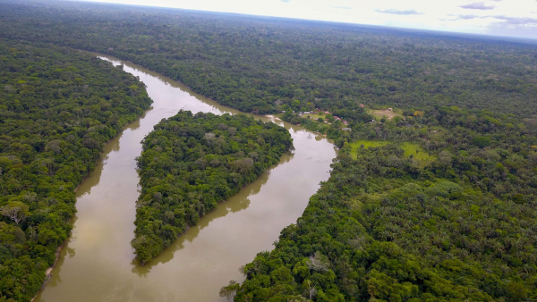 Le Cirad en Amazonie. © R. Poccard-Chapuis, Cirad