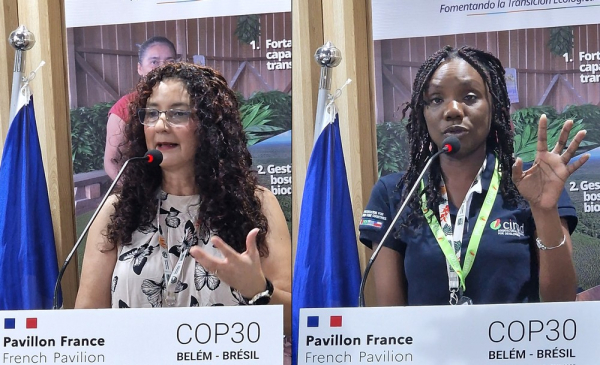 Teresita Chinchilla (ACOFOP) and Marie-Ange Ngo Bieng (CIRAD) COP30