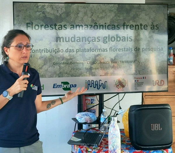 G&eacute;raldine Derroire, ecologist at CIRAD