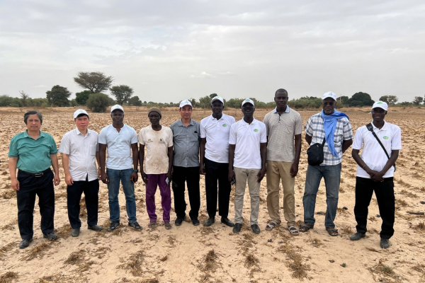 DyTAES teams, Living Lab activities in Fatick