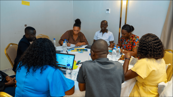 Table ronde par consortium &copy; Connect Initiative