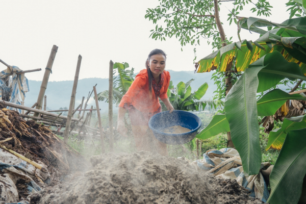 Ms. Vi Thi Tien, a farmer in Dien Bien province, prepares compost using yeast fermentation techniques as part of the ASSET project.