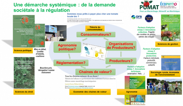 Une d&eacute;marche syst&eacute;mique - de la demande soci&eacute;tale &agrave; la r&eacute;gulation