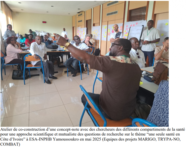 Atelier de coconstruction d'une concept-note &copy; MARIGO